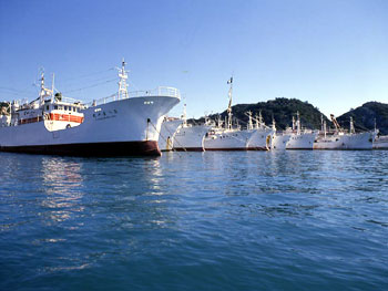 勝浦漁港の画像