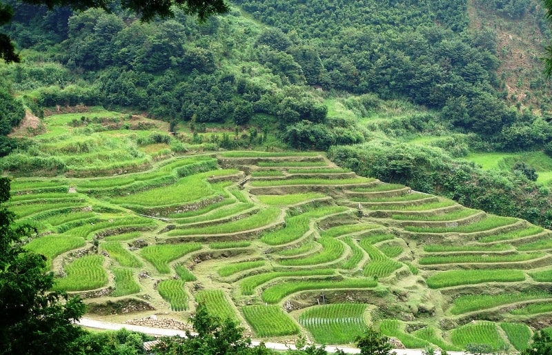 中山間地域の画像