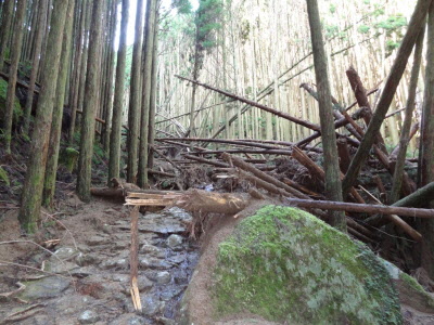 台風21号の影響による土砂崩れの画像