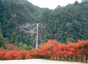 紅葉と那智の滝の画像
